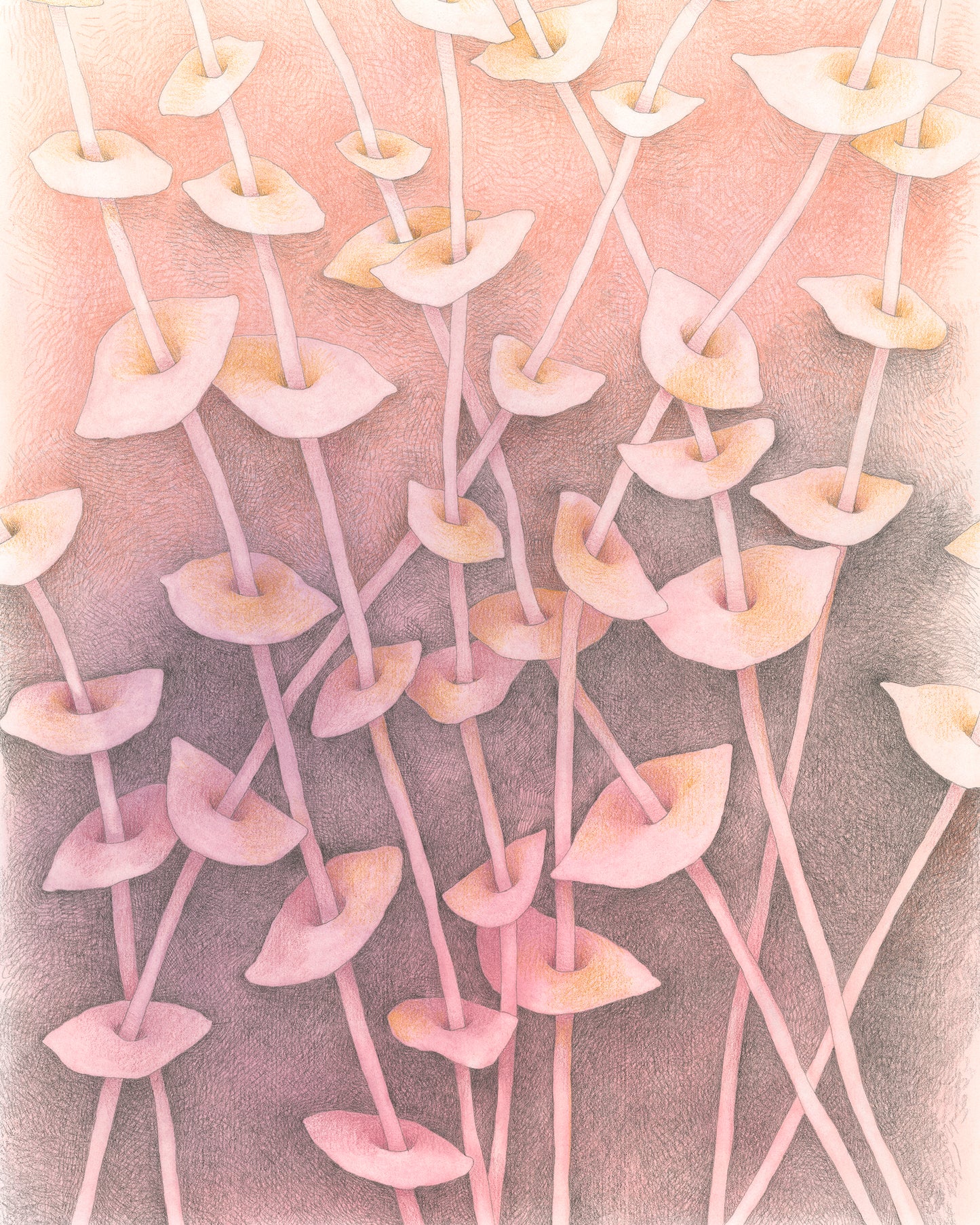 Semi-abstract colored pencil drawing of overlapping leaves on slender stems on peach background.