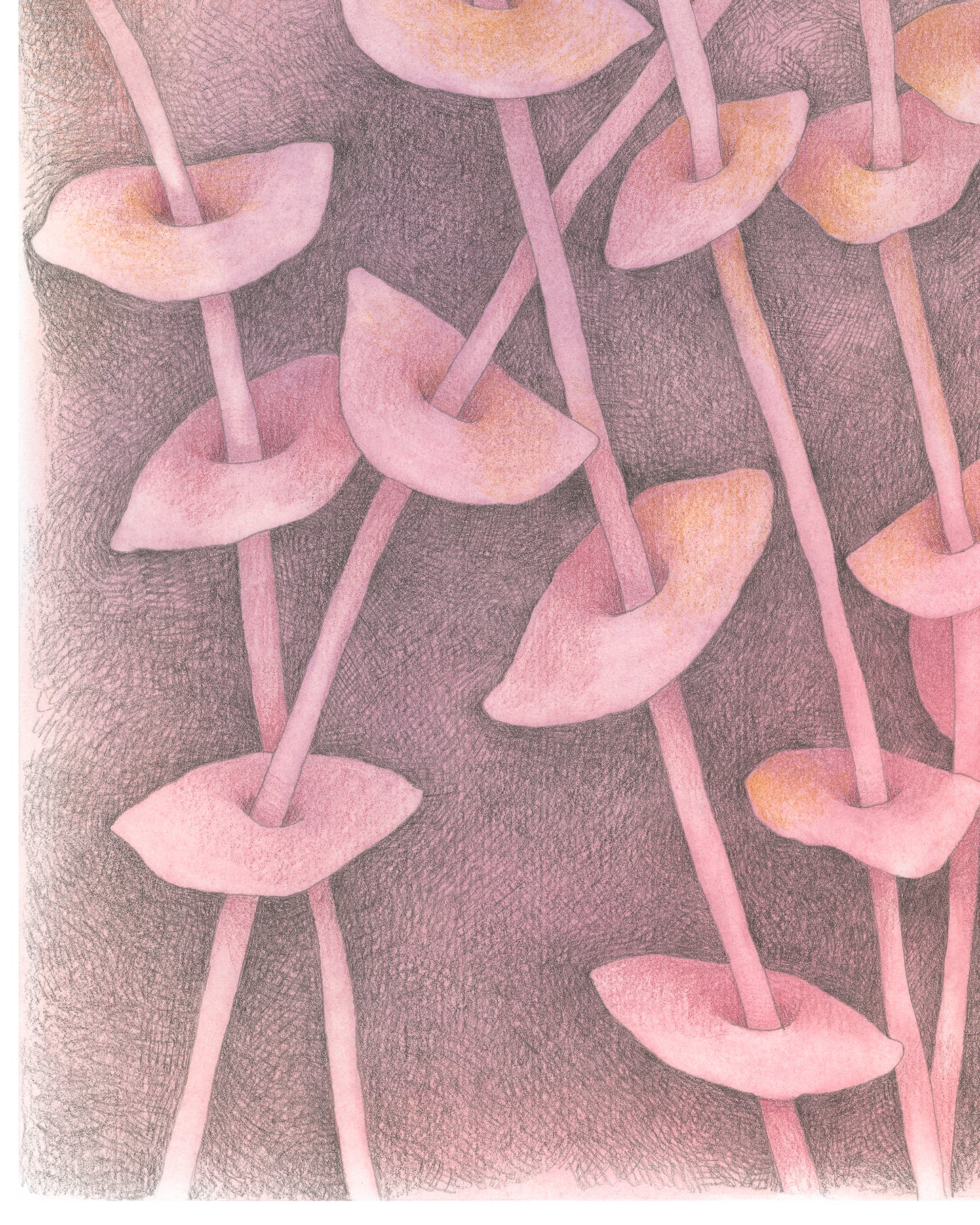 Semi-abstract colored pencil drawing of overlapping leaves on slender stems on peach background.