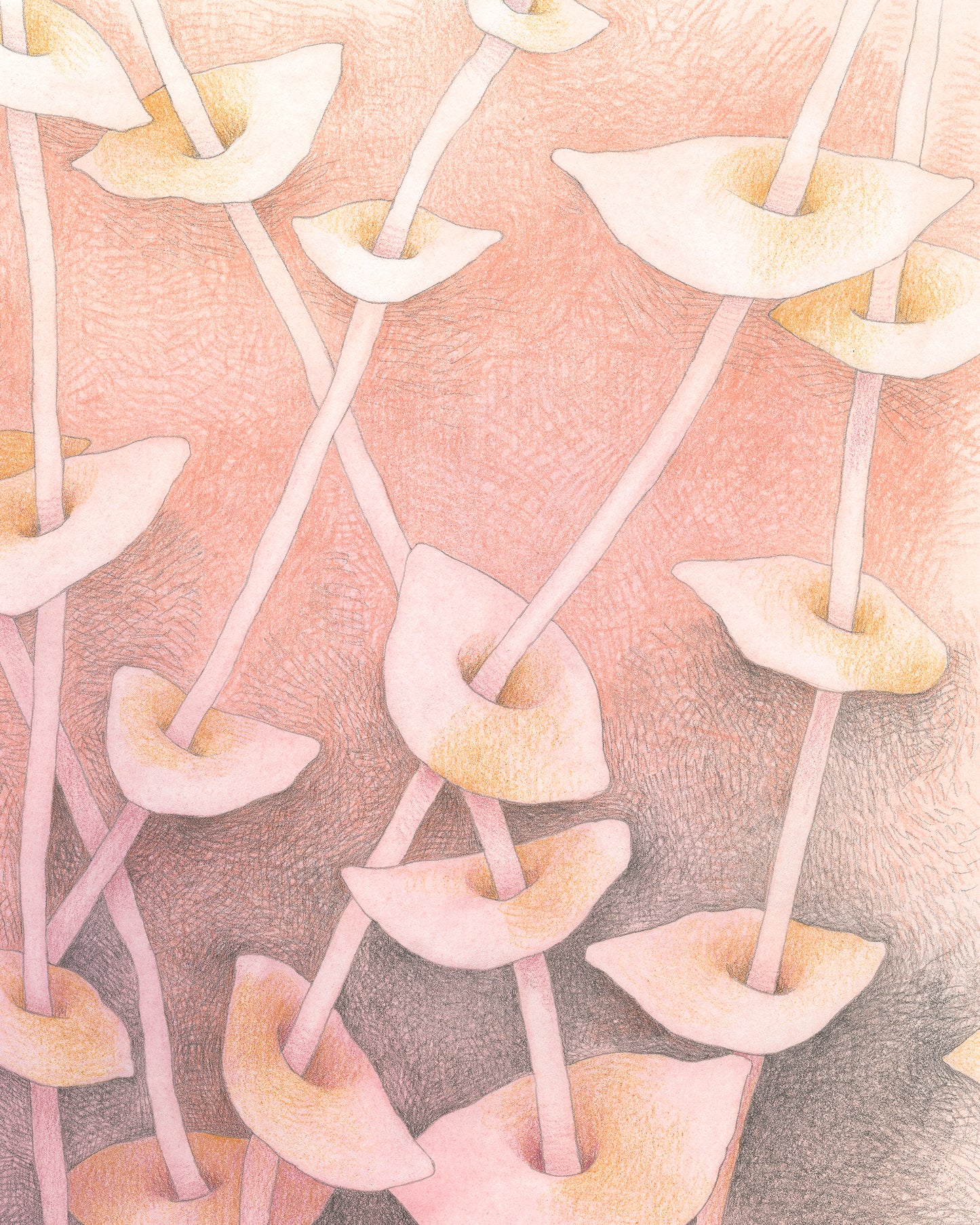 Semi-abstract colored pencil drawing of overlapping leaves on slender stems on peach background.