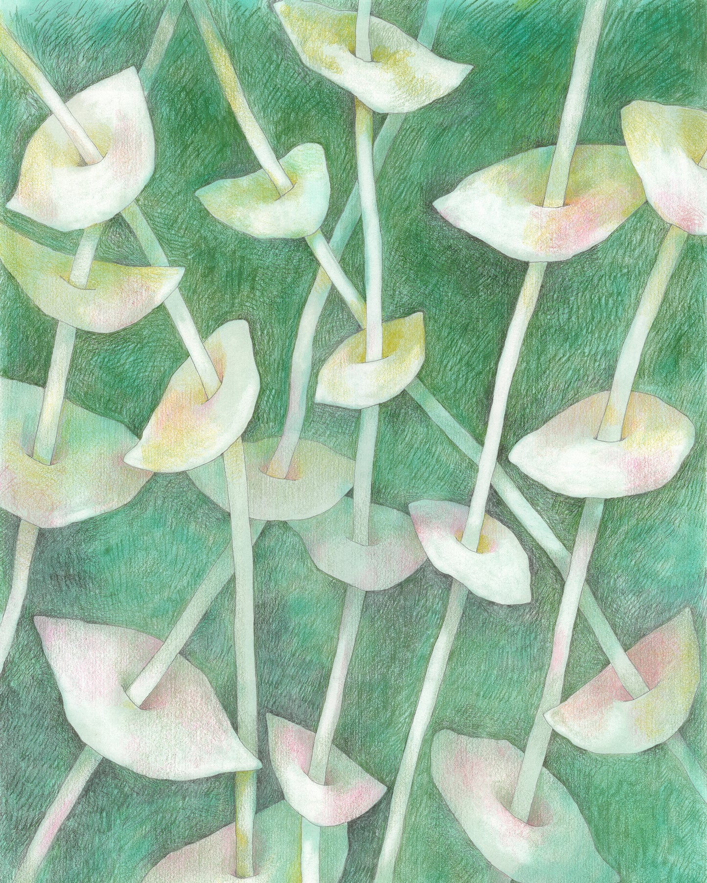 Semi-abstract colored pencil drawing of overlapping leaves on slender stems.