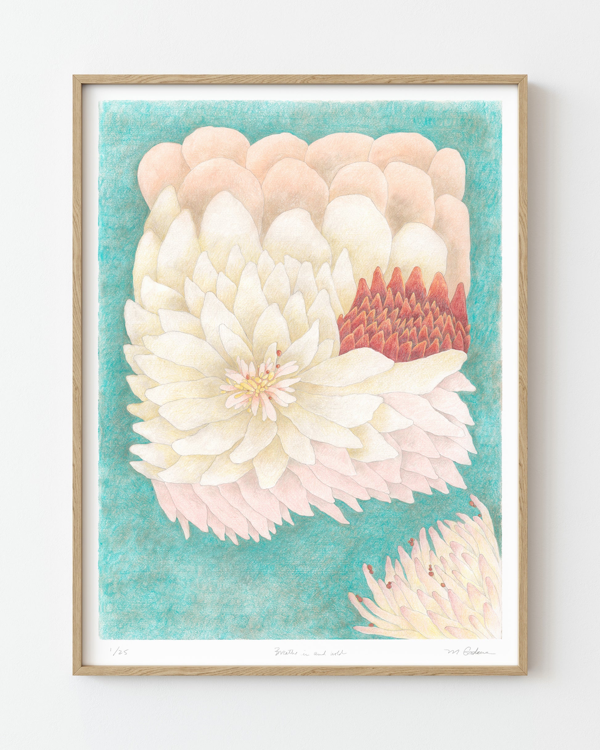 Framed surreal drawing of a large flower floating on a teal background.