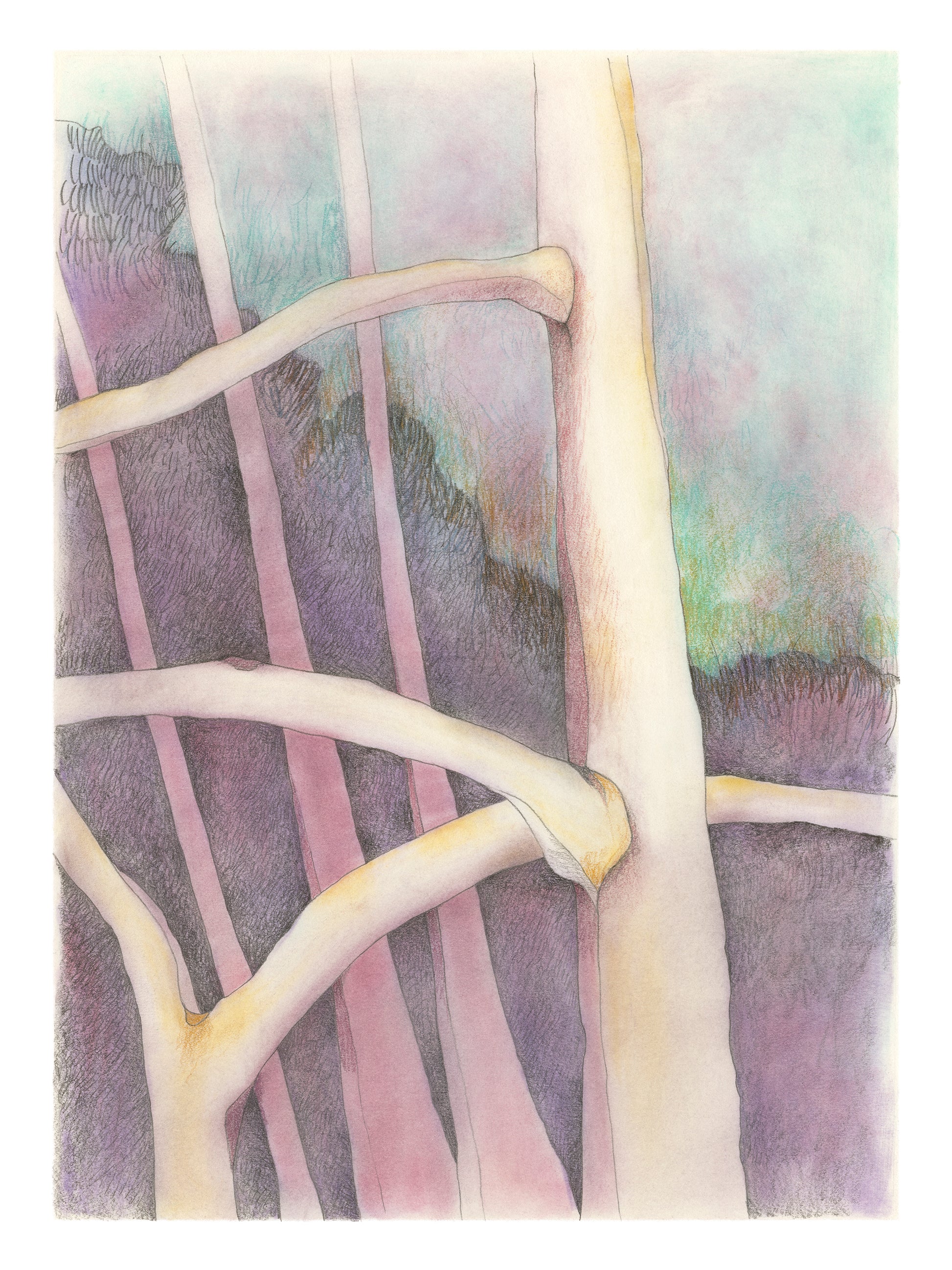 Drawing of trees against a dreamlike background.