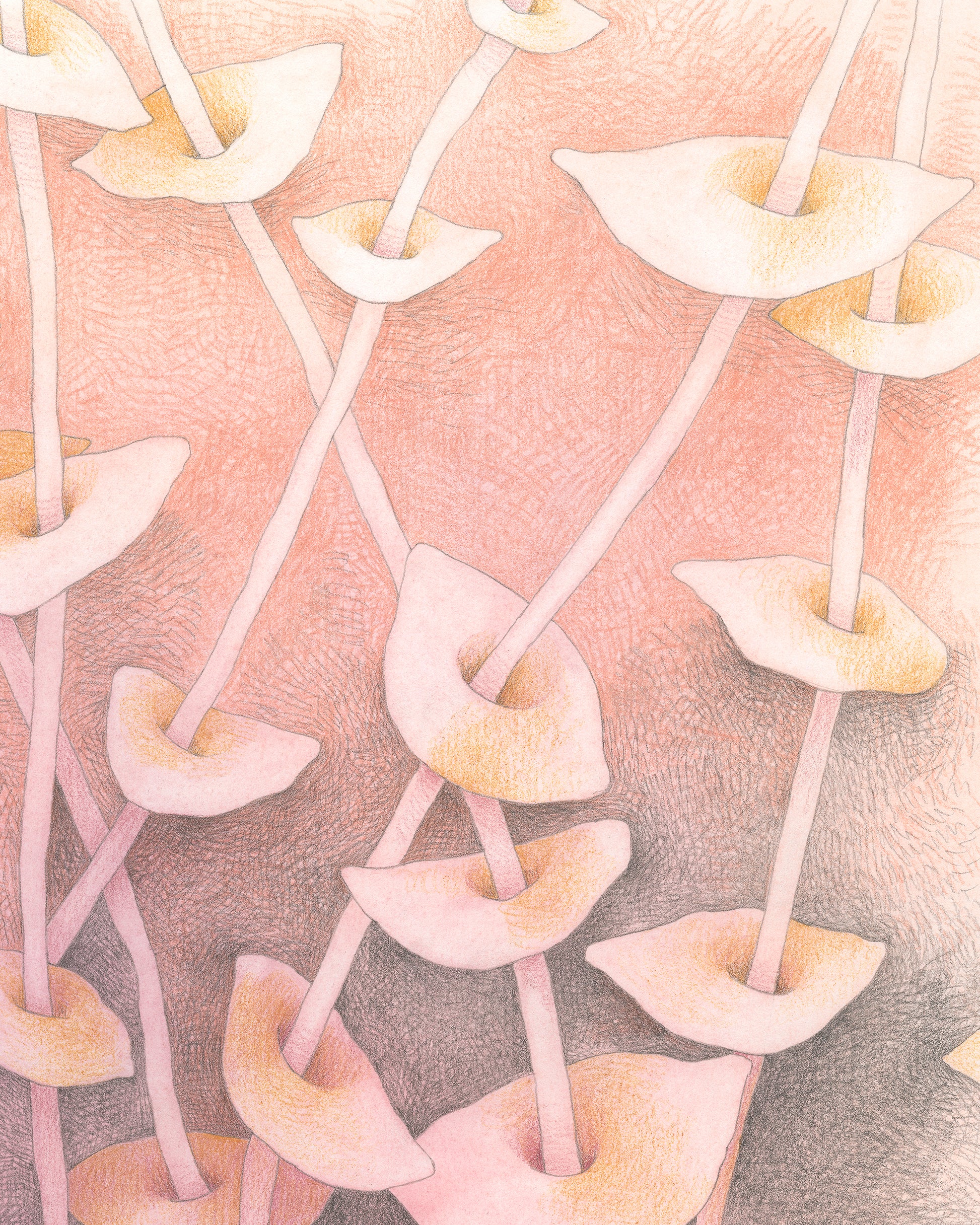 Semi-abstract colored pencil drawing of overlapping leaves on slender stems on peach background.