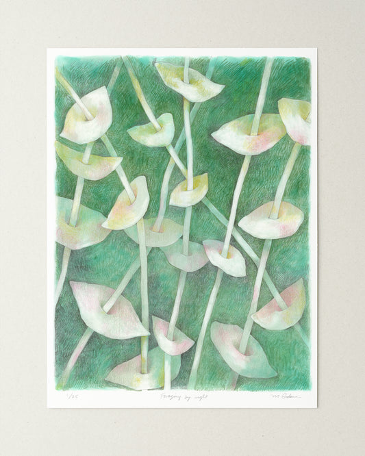 Semi-abstract colored pencil drawing of overlapping leaves on slender stems.