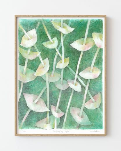 Semi-abstract colored pencil drawing of overlapping leaves on slender stems.