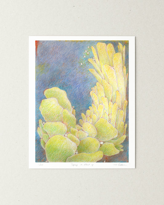 Surreal colored pencil drawing of cactus on a dark background.
