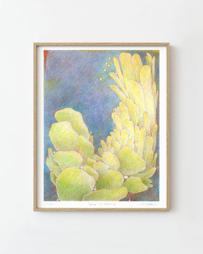 Framed surreal colored pencil drawing of cactus on a dark background.