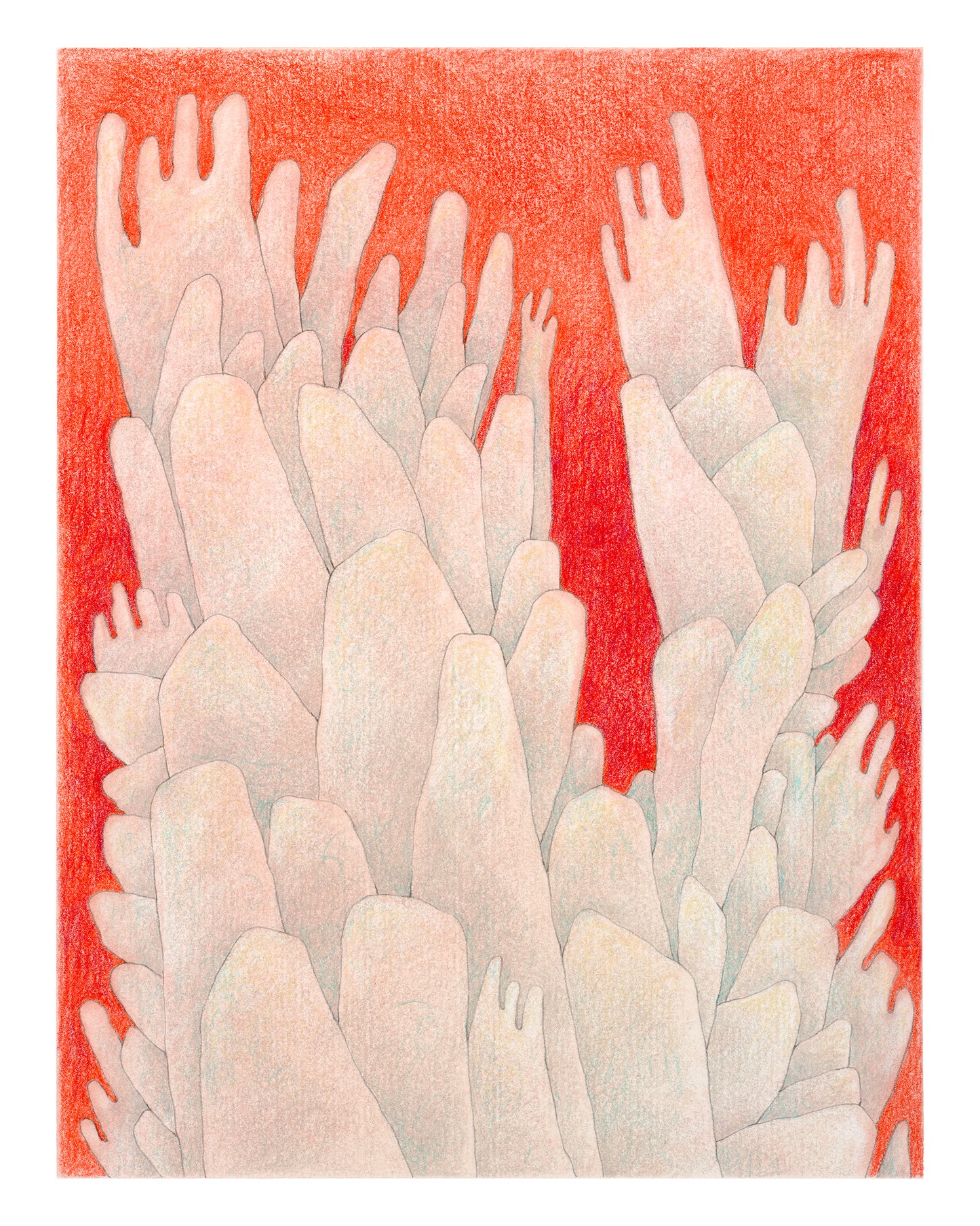 Surreal colored pencil drawing of pink cactus on a red background.
